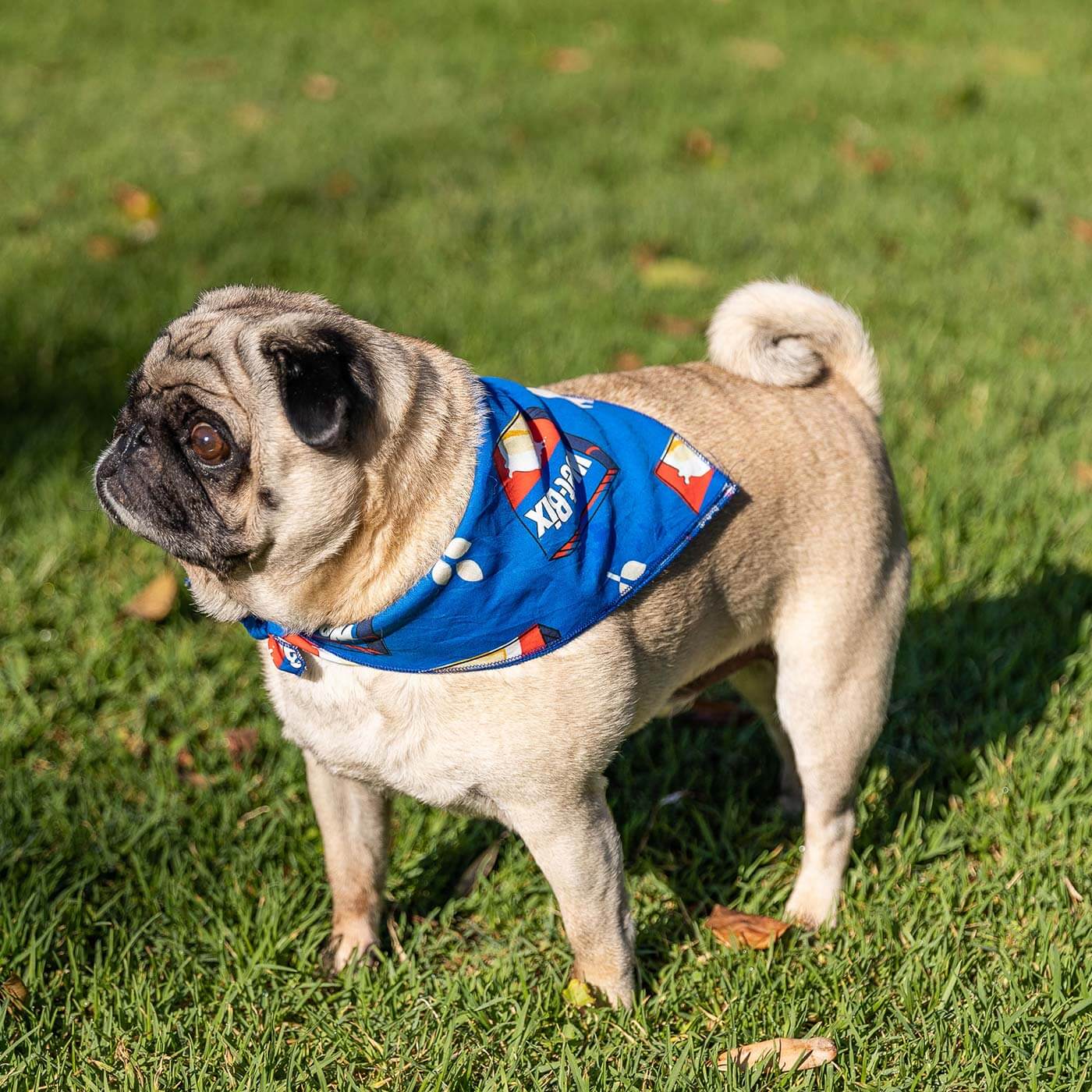 Weet-Bix Pet Bandana